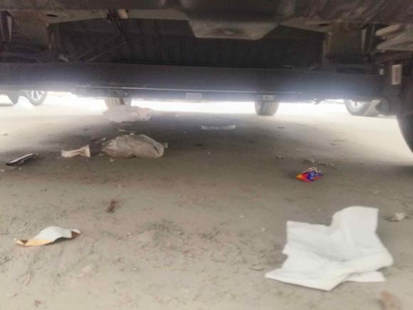 [宁波·浙B] 二手比亚迪海鸥2025款 305km 自由版