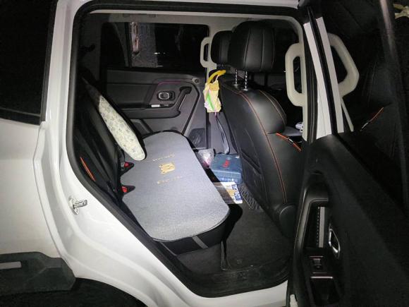 [芜湖·皖B] 二手捷途山海捷途山海T12024款 150km 向海