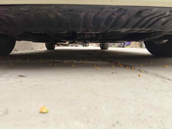 [上海·沪E] 二手日产轩逸2020款 1.6L XL CVT悦享版