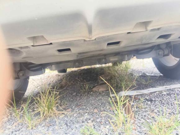 [温州·浙C] 二手威马汽车威马EX52021款 EX5-Z Fun动感版