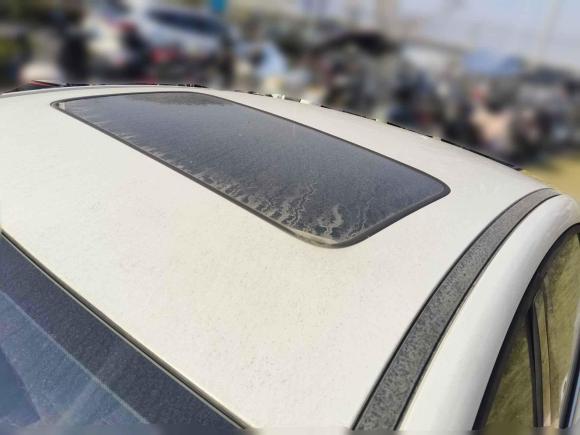 [温州·浙C] 二手比亚迪秦Pro新能源2019款 EV 超能版 标准版智联领尚型