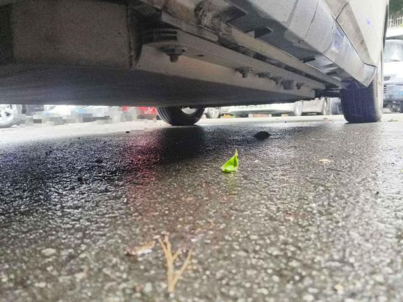 [成都·川A] 二手睿蓝汽车枫叶80v2021款 优行版 三元锂