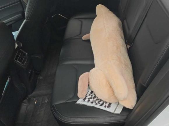 [上海·辽P] 二手比亚迪宋Pro2019款 1.5T 自动尊贵型