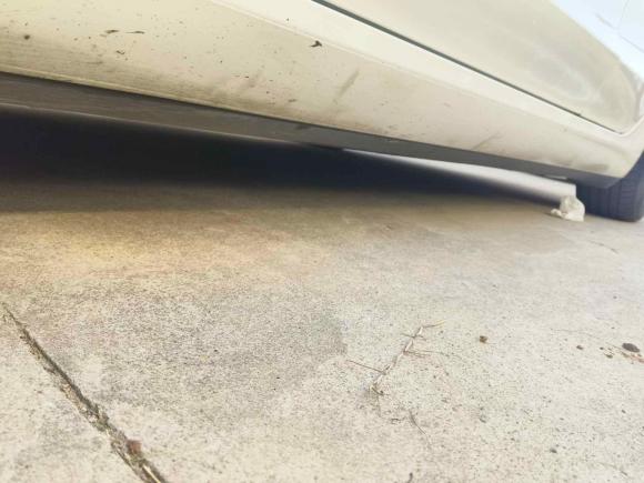 [上海·沪A] 二手特斯拉Model 32021款 标准续航后驱升级版