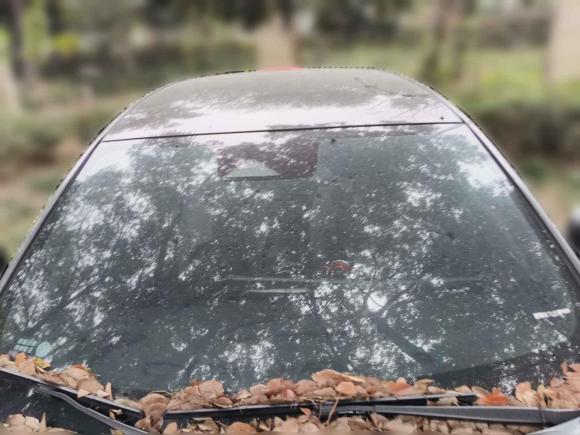 [嘉兴·浙F] 二手长安长安UNI-T2023款 第二代 1.5T 运动版 尊贵型