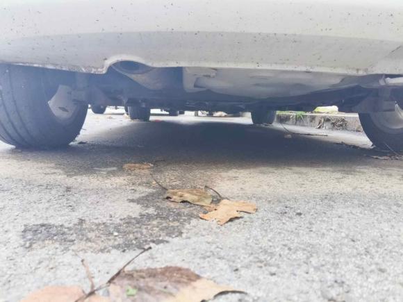 [青岛·鲁B] 二手大众Polo2013款 1.6L 自动舒适版