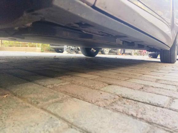 [上海·沪A] 二手比亚迪海豚2021款 405km 时尚版