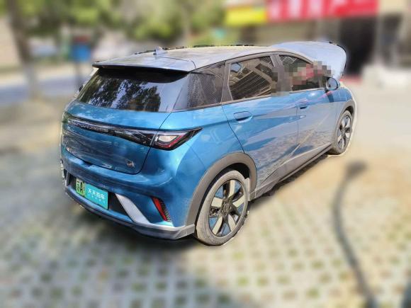 [无锡·苏A] 二手比亚迪海豚2021款 401km 骑士版