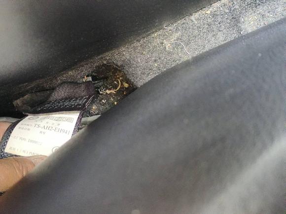 [苏州·苏E] 二手马自达马自达CX-52013款 2.5L 自动四驱豪华型