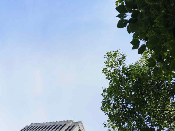 [上海·苏F] 二手林肯冒险家2022款 2.0T 两驱尊雅版