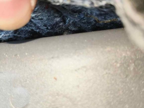 [武汉·鄂A] 二手福特锐界2016款 EcoBoost 245 四驱豪锐型 7座