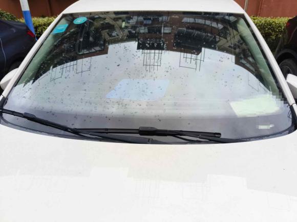 [上海·沪B] 二手大众Polo2016款 1.6L 自动豪华型