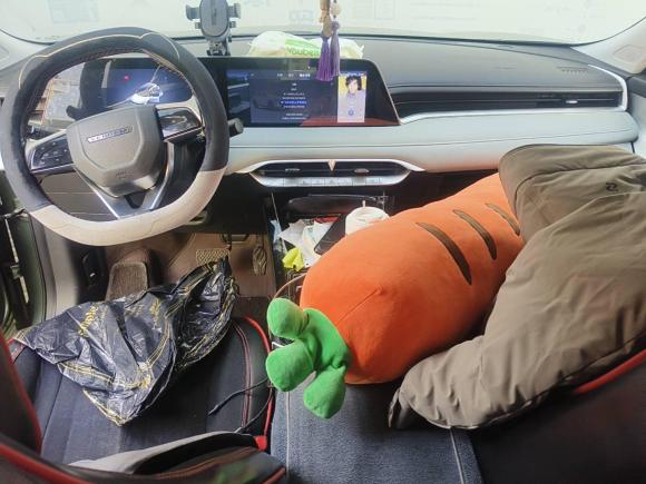 [上海·鲁Q] 二手启辰启辰大V DD-i2023款 110km iE版