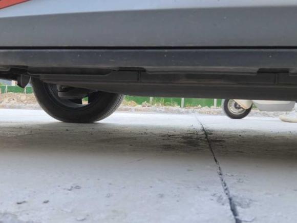 [温州·浙C] 二手比亚迪海豚2021款 405km 时尚版