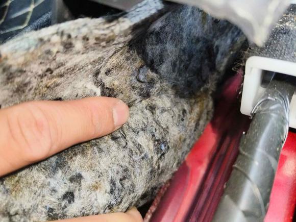 [佛山·湘D] 二手丰田雷凌2019款 185T CVT豪华版 国VI