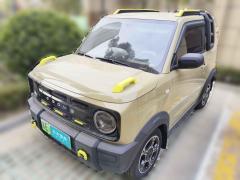 [上海·苏E] 吉利汽车熊猫2024款 200km 熊猫骑士