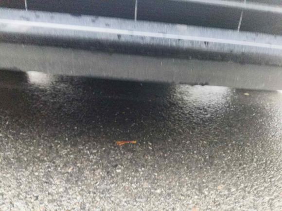 [上海·沪E] 二手别克别克GL82023款 改款 陆上公务舱 豪华型