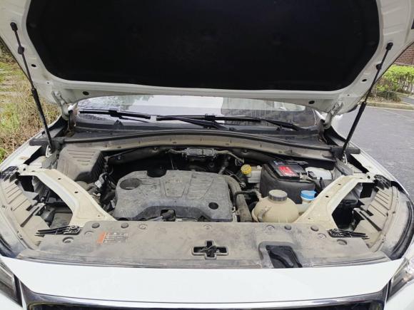 [上海·沪C] 二手名爵名爵HS2018款 20T 手动两驱荷尔蒙劲取版 国V