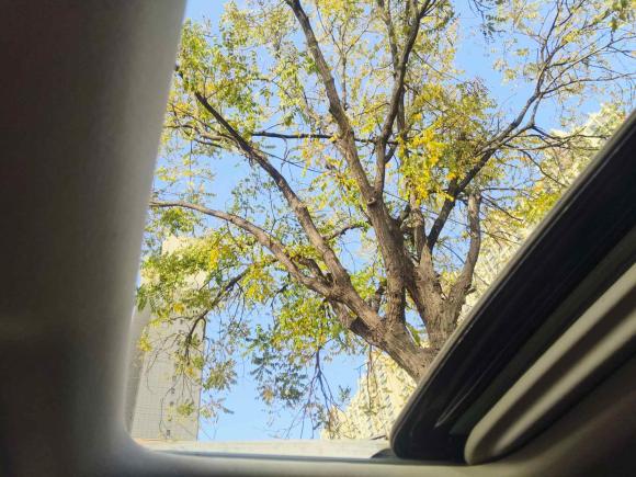 [济南·鲁A] 二手丰田卡罗拉2021款 1.2T S-CVT精英PLUS版