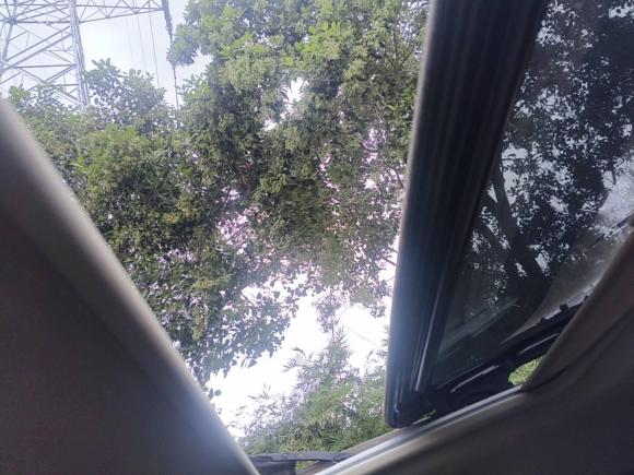 [上海·沪B] 二手别克别克GL82017款 25S 豪华型 国V