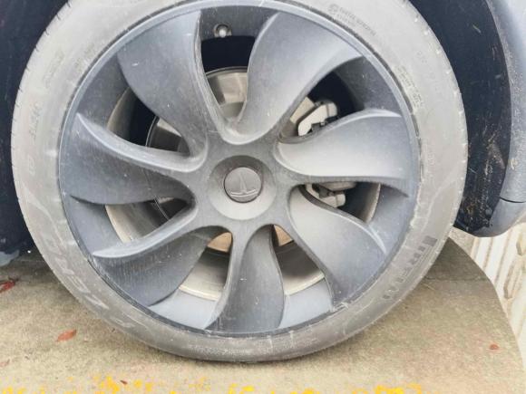 [上海·沪A] 二手特斯拉Model Y2022款 改款 后轮驱动版