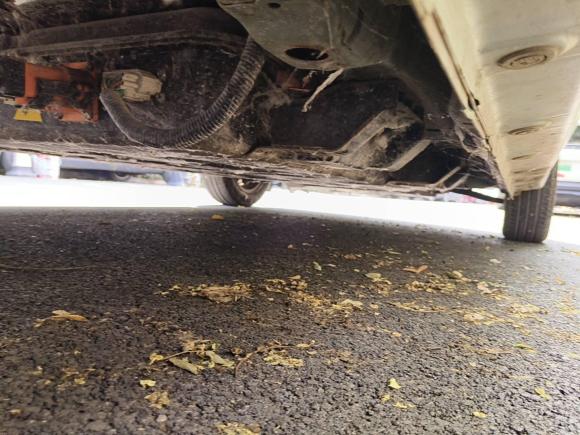 [济南·鲁A] 二手雷丁雷丁芒果2021款 趣芒悦动版 185km