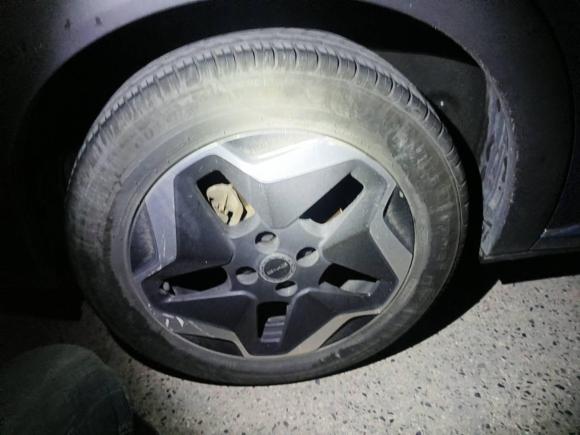 [上海·沪A] 二手比亚迪海豚2021款 405km 自由版