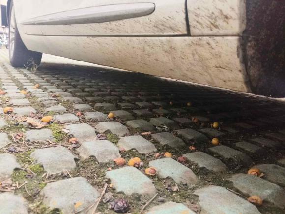 [苏州·苏U] 二手凯迪拉克凯迪拉克XTS2018款 28T 精英型