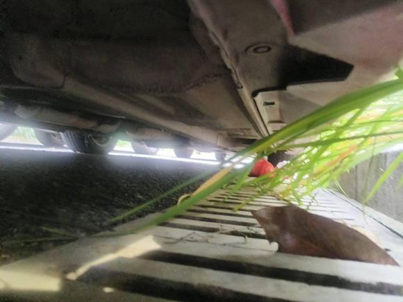 [杭州·浙A] 二手马自达马自达62006款 轿跑 2.3L 自动型