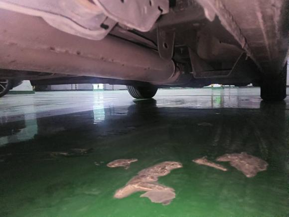 [合肥·皖A] 二手别克别克GL82021款 陆上公务舱 652T 舒适型