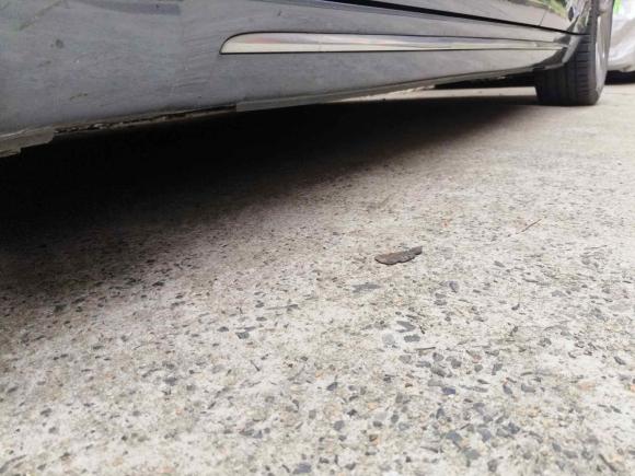 [上海·沪A] 二手欧拉欧拉闪电猫2022款 555km 尊贵版