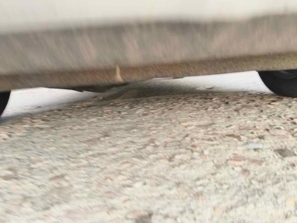 [青岛·鲁U] 二手日产骊威2013款 劲锐 1.6XL CVT舒适版