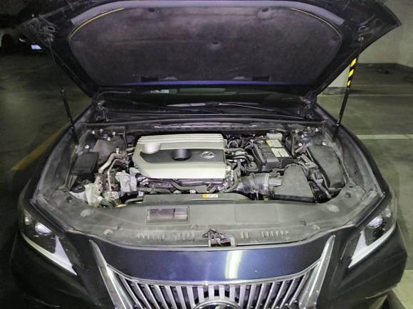 [苏州·苏E] 二手雷克萨斯雷克萨斯ES2020款 200 卓越版