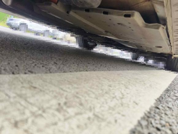 [武汉·鄂A] 二手丰田卡罗拉双擎E+2020款 1.8L E-CVT舒适版