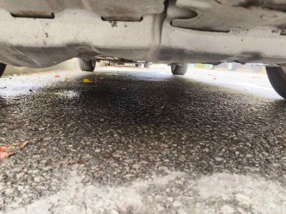 [上海·沪B] 二手丰田普锐斯2005款 1.5L 织物座椅版