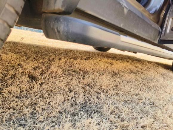 [南京·皖B] 二手雷诺科雷傲2017款 2.0L 两驱豪华版