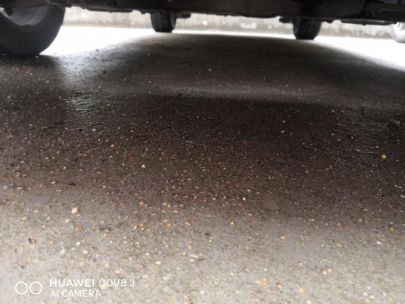 [上海·沪C] 二手雪铁龙世嘉2012款 三厢 1.6L 手动品尚型