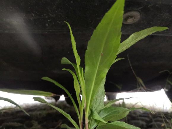 [宁波·浙B] 二手宝马宝马5系GT2010款 535i 领先型