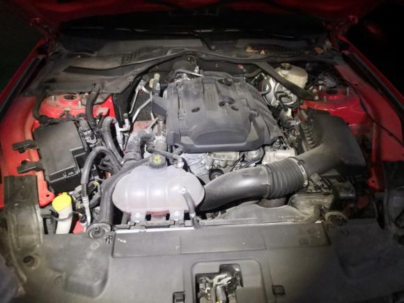 [常州·苏D] 二手福特Mustang2018款 2.3L EcoBoost