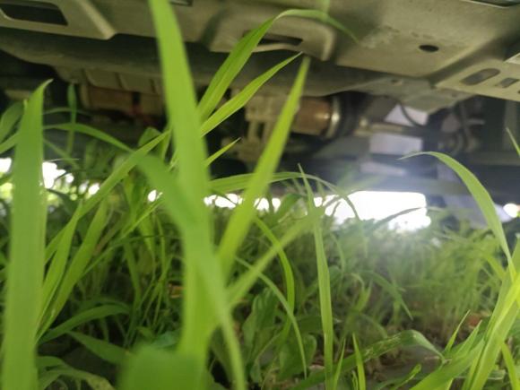 [南通·苏F] 二手奔腾奔腾B30EV2019款 EV400