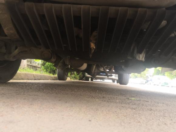 [青岛·鲁U] 二手依维柯得意2009款 2.8T-V35基本型