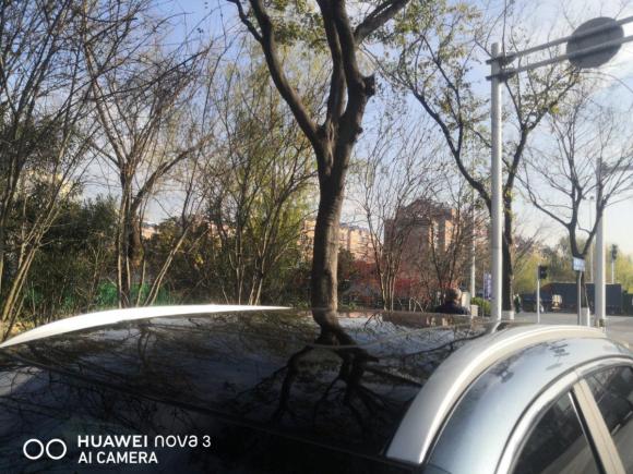 [南京·苏A] 二手奇瑞新能源奇瑞蚂蚁2020款 高能pro版