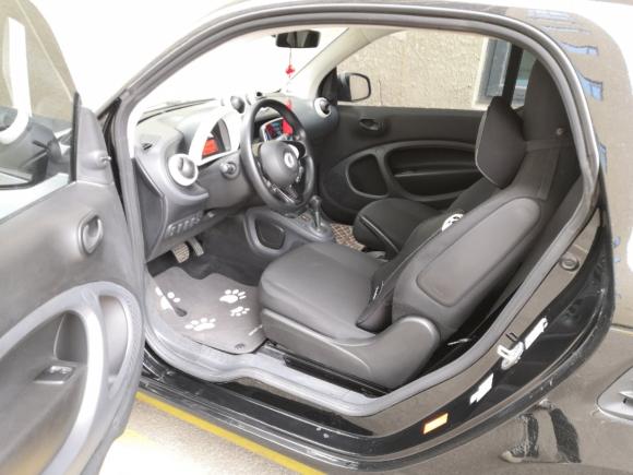 [临沂·鲁Q] 二手smartsmart fortwo2015款 1.0L 52千瓦硬顶灵动版
