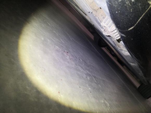 [上海·沪A] 二手宝马宝马7系2009款 730Li领先型