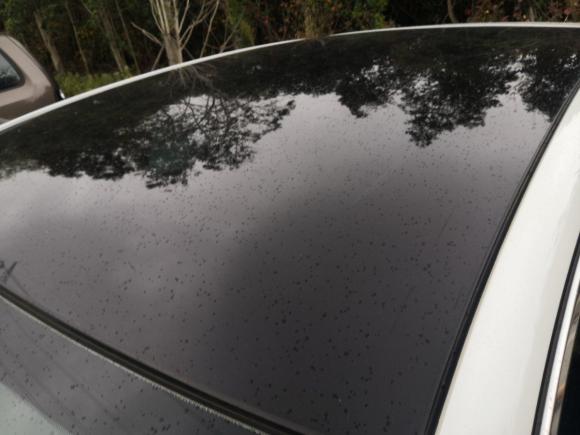 [宁波·浙A] 二手标致标致308S2015款 1.6T 自动劲驰版