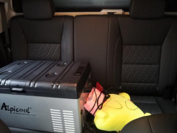 [宁波·辽C] 二手长城炮2019款 2.0T自动汽油四驱舒适版GW4C20B