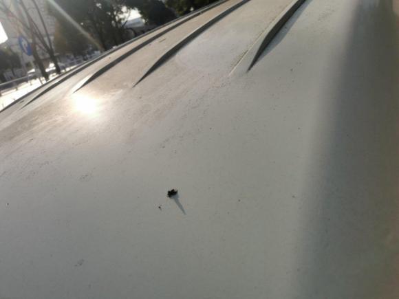 [武汉·鄂A] 二手金旅金旅海狮2010款 2.2L标准轴高级版491Q-M