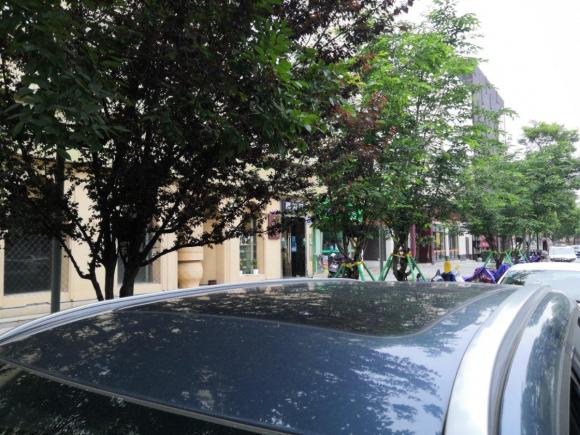 [嘉兴·皖H] 二手长安长安CS55 PLUS2020款 1.5T 自动炫动型