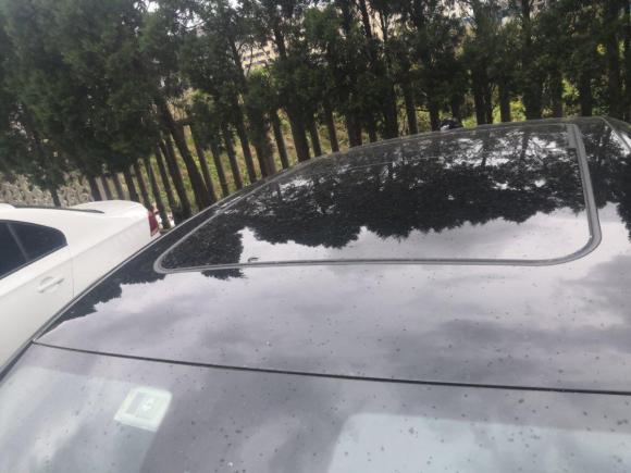 [青岛·鲁U] 二手红旗红旗H92020款 2.0T 智联旗享版