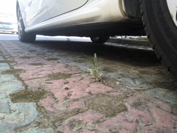 [无锡·苏B] 二手菲亚特致悦2014款 1.4T 自动运动版